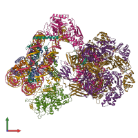 Hetero 20-meric assembly 1 of PDB entry 9c9g coloured by chemically distinct molecules, front view.