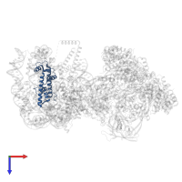 Histone H4 in PDB entry 9c9g, assembly 1, top view.
