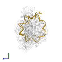 DNA (227-MER) in PDB entry 9c9g, assembly 1, side view.
