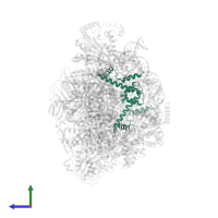 Histone H3 in PDB entry 9c9g, assembly 1, side view.