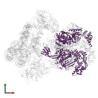 RuvB-like protein 2 in PDB entry 9c9g, assembly 1, front view.