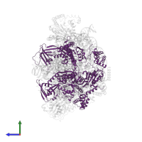 RuvB-like protein 2 in PDB entry 9c9g, assembly 1, side view.